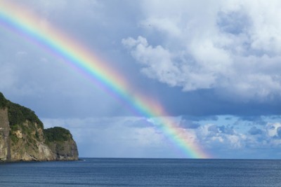 体調の乱れがわかる「虹占い」