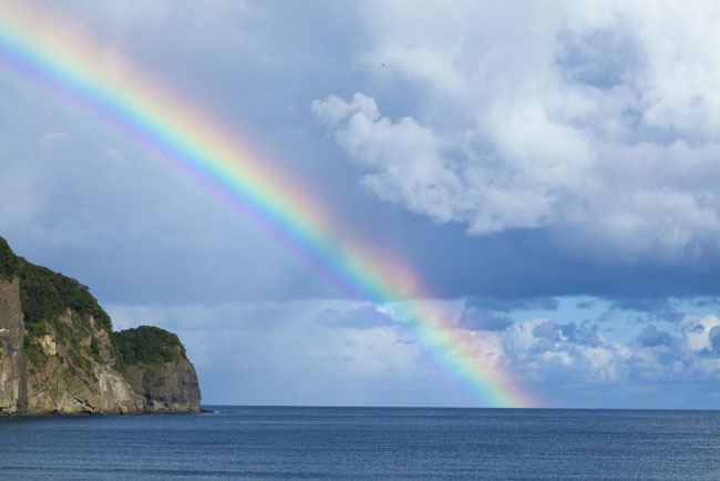 年末年始、乗り切るパワーがある？　体調の乱れがわかる「虹占い」