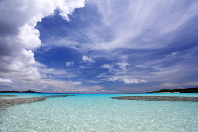 4枚の写真、誰に渡す？　手放す順番でわかる、あなたの人生に大切なこと