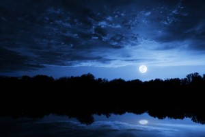 3月の月のリズムは、愛情やつながりを育てるのに最適！