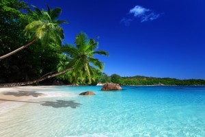 卒業しないといけないことがわかる【心理テスト】