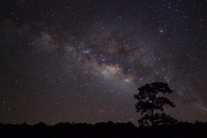 6月27日は蟹座の新月 幸運の星・木星の恩恵と、深い愛情を感じられる日