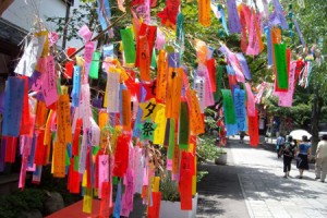赤、青、白、黄……短冊の色でわかる願いがかなう可能性