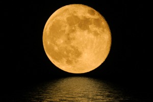 8月11日水瓶座満月はスーパームーン！　古い自分を手放し、楽しい自分に生まれ変われる日