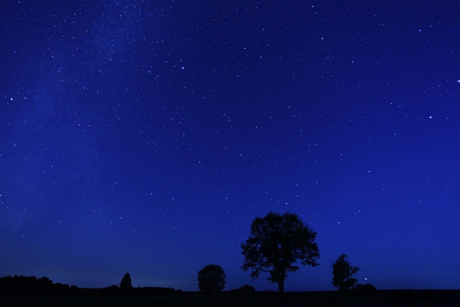 10月24日は蠍座の日食新月　生まれ変わりパワーで新しい人生をスタートしよう！
