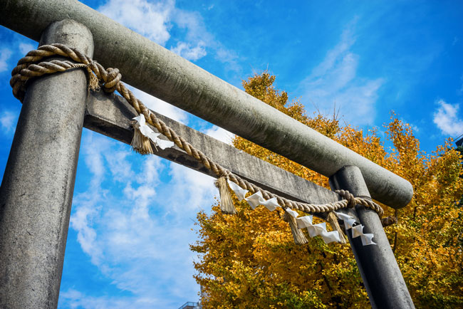 2015年に訪れたいパワースポット【関東編】恋も仕事も運気を上げたい人は『箱根神社』へ！