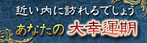 ｼﾞｮﾝ・ﾍｲｽﾞ英国式鑑定