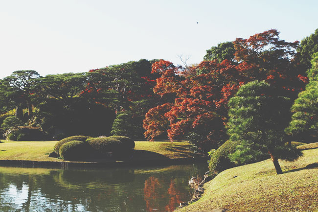 GWに訪れたい恋愛パワースポット【関東編】『六義園』は出会いを呼ぶスポット！