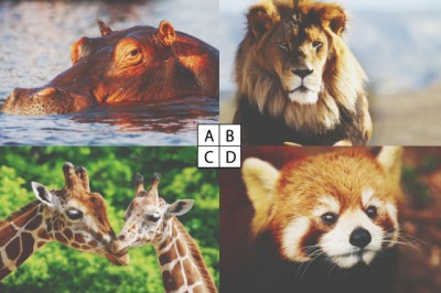 相性のいい年下男性がわかる【心理テスト】