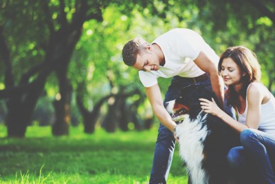 【心理テスト】犬の散歩のしかたでわかるSM度