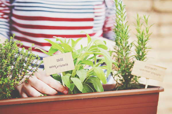 【心理テスト】ベランダで育てたいものでわかる「恋の育み方」