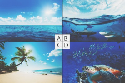 【心理テスト】夏の海のイメージわかる冒険心