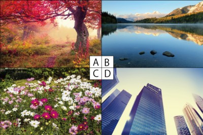 【心理テスト】赤とんぼの行方でわかるあなたに足りないもの