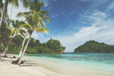 【心理テスト】無人島に持って行くものでわかる、人生で大切にしたいこと