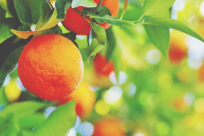 【心理テスト】食べたいパスタでわかる、赤い糸で結ばれている男性と出会える場所