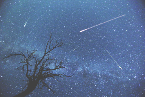 【心理テスト】流れ星を見た時の反応でわかる恋の目移り度