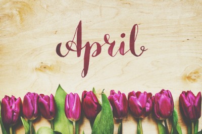 【4月の運勢特集】今月の運勢から恋愛運、開運アクションまでをチェック！