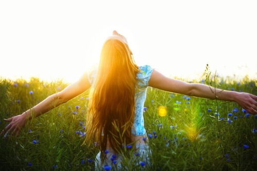 新しい1年の始まりに、あなたの運勢が占える無料占いまとめ