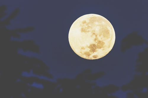 4月22日は蠍座の満月　悪い習慣を手放して根本から変容しよう！