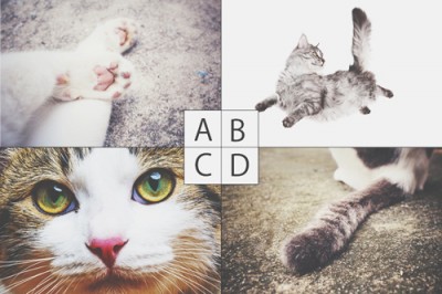 【心理テスト】猫の好きなところでわかるあなたを狂わせる男