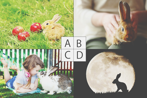 あなたの本質と欲求を暴く【心理テスト】「ウサギ」と聞いてイメージするものはどれ？