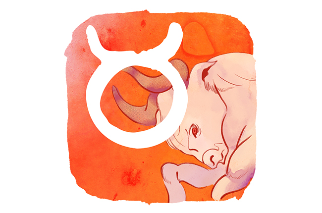 牡牛座の8月6日の運勢