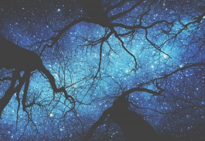 9月1日は乙女座の日食新月　絶大な切り替えパワーで、美しい生活習慣を手に入れよう！