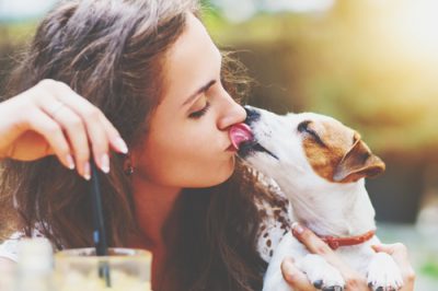 【心理テスト】行きたい動物カフェでわかる欲しいスキル