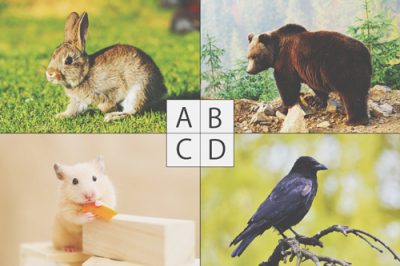 【心理テスト】生まれ変わり成功のヒント