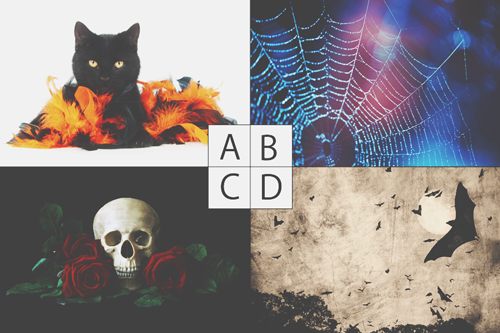 ダークな一面がわかる【心理テスト】ハロウィンといえばカボチャ、もう1つ連想するなら？