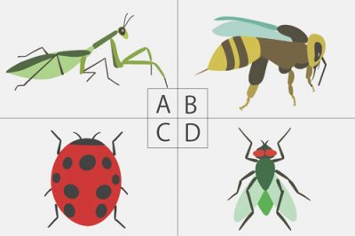 虫の知らせ!?　隠された弱点がわかる【心理テスト】