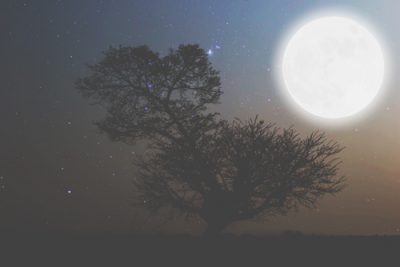 10/16は牡羊座満月　気後れする弱さを手放そう！