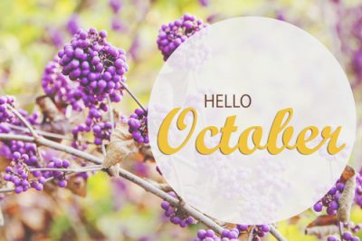 【10月の運勢】今月の運勢、恋愛運、開運アクションをチェック！