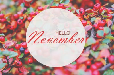 【11月の運勢】今月の運勢、恋愛運、開運アクションをチェック！