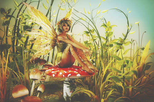 2017年のあなたに贈る【妖精からのハッピーメッセージ】誕生日で導くお告げは？