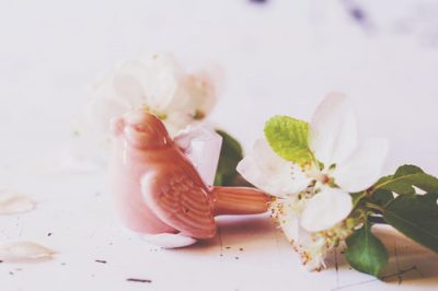 【2017年の開運壁紙】恋愛運アップは「鳥」の写真！