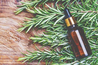 【アロマ占星術】2/18、太陽が魚座へ　ウェットな気持ちをサポート