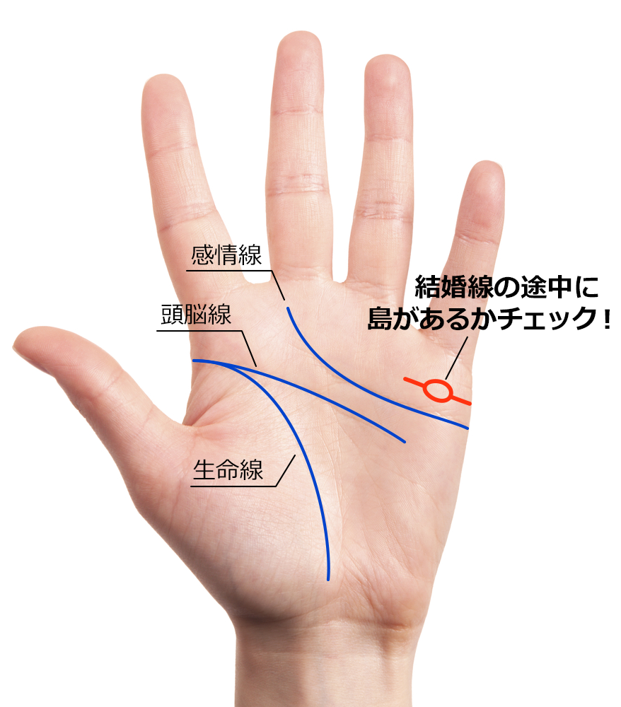 左手の結婚線がカーブを描いて下降している手相