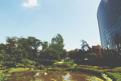 【GW東京パワースポット】金運アップは『毛利庭園』へ！