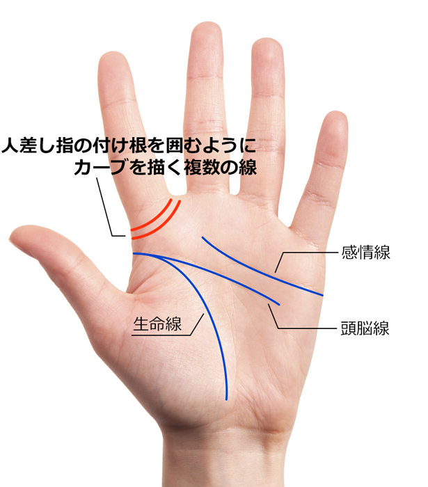 人差し指の付け根にあらわれる、ゆるやかなカーブを描く線が複数本ある