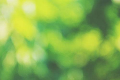 【心理テスト】「みどり」で連想する言葉でわかる、あなたのお疲れ度　　