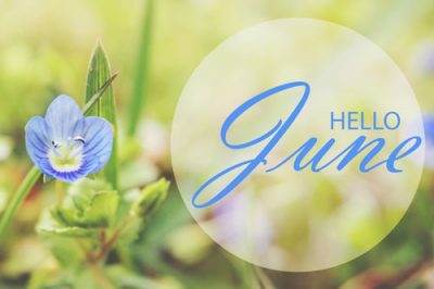 【6月の運勢特集】運勢、恋愛運、開運アクションをチェック！