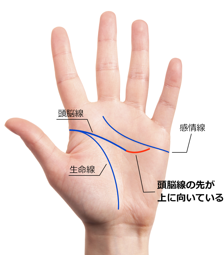 頭脳線の先が上に向かっている手相