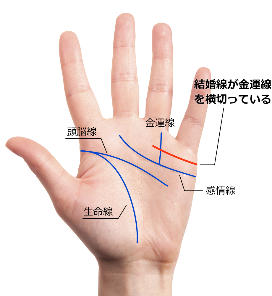 結婚線が長く伸び、薬指の下をタテに走る金運線を横切っている相