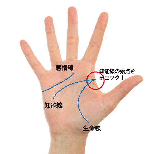 chinosenhatarakikata