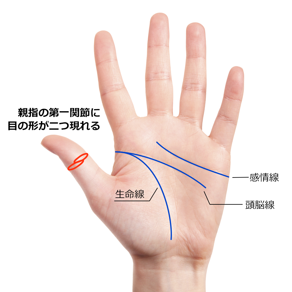 親指の第一関節に目の形が二つ現れる相