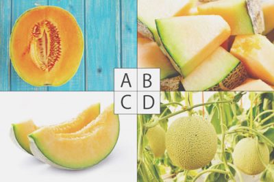 【心理テスト】メロンでわかるセックスの溺れやすさ