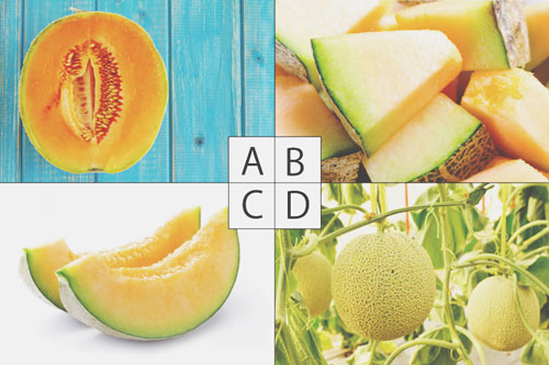 【心理テスト】おいしそう！　と思ったメロンでわかる、セックスの溺れやすさ