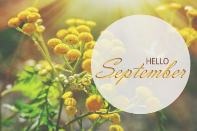 【9月の運勢まとめ】運勢、恋愛運、開運アクションをチェック！