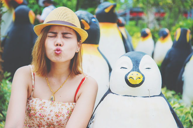 12星座【ペンギン系女子】ランキング　山羊座は不器用だけど真面目なリアリスト！